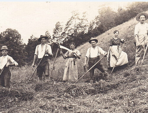 Die außerfamiliäre Hofübergabe als neues Phänomen? Der Landwirtschafshistoriker Ernst Langthaler über Kontinuität und Kurioses rund um den Generationswechsel