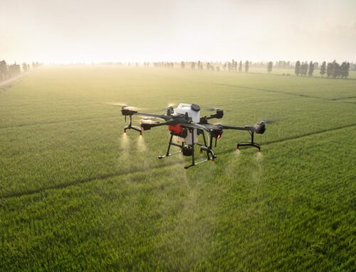 Beruf Landwirt*in – Vom Aussterben bedroht?