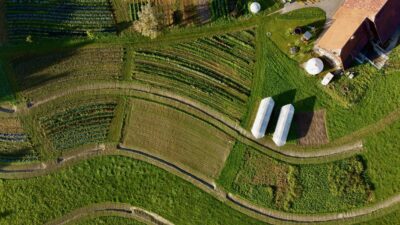 Landwirtschaft der Zukunft