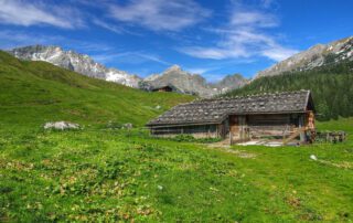 Die Landwirtschaft leistet mit der Bewirtschaftung von Almen einen wertvollen Beitrag zur Erholung - vielen Bergbauernhöfen fehlt dennoch die Perspektive.